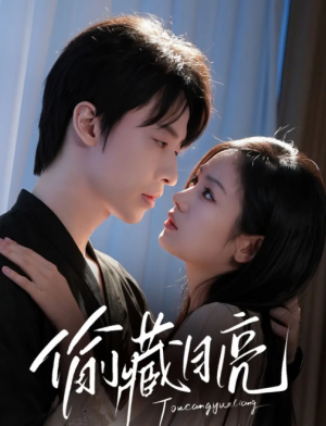 偷藏月亮（64集）