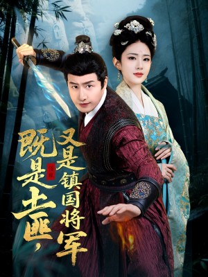 既是土匪又是镇国将军（65集）