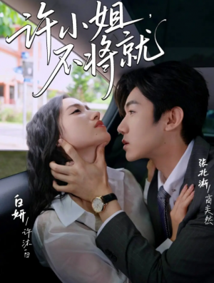 许小姐不将就（60集）