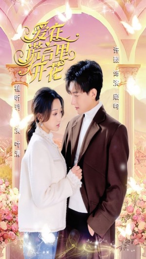 《爱在谎言里开花》(80集)