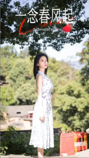 一念春风起（36集）