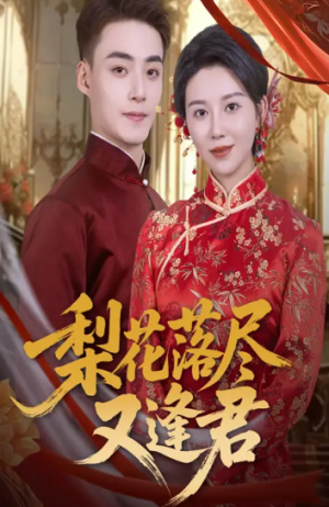 梨花落尽又逢君(61集)