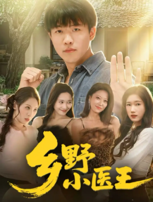 乡野小医王（80集）
