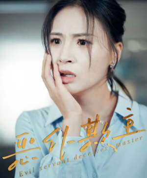 恶仆欺主(30集)
