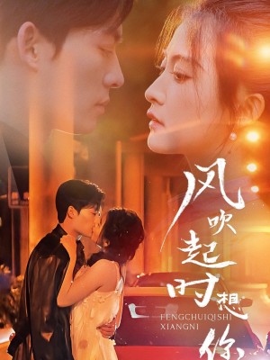 风吹起时想你（56集）