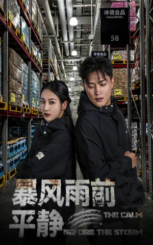 《暴风雨前的平静》(30集)