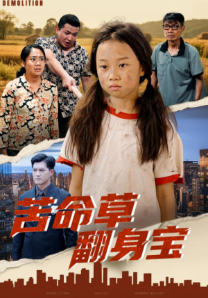 苦命草翻身宝(62集)