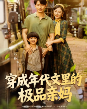 穿成年代文里的极品亲妈(60集)