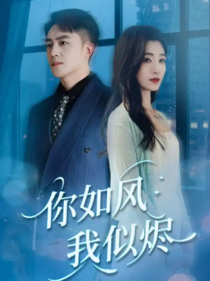 你如风我似烬(72集)