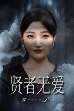 贤者无爱（42集）