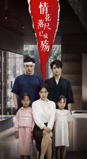 情花落尽已成殇(60集)