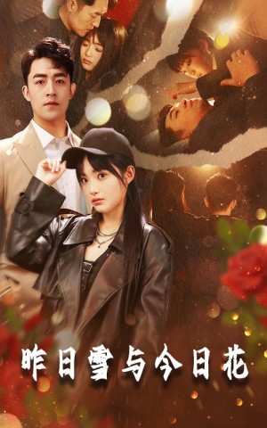 昨日雪与今日花（81集）