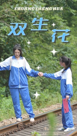 《双生花》(36集)
