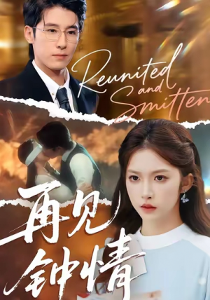 再见钟情（100集）