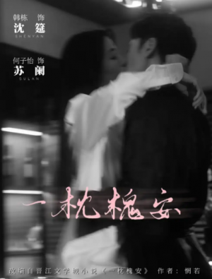 一枕槐安(80集)