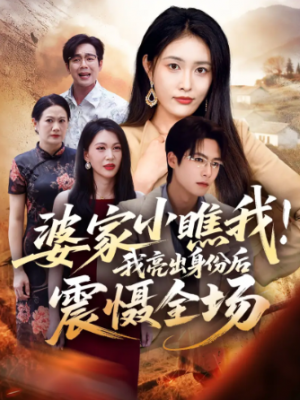 婆家小瞧我我亮出身份后震慑全场（58集）