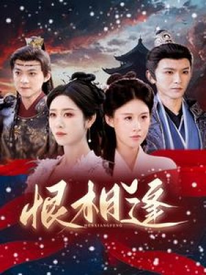 恨相逢（97集）