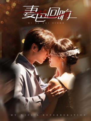 妻色回响（53集）