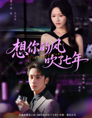 想你的风吹了七年(82集)