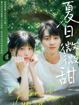 夏日微微甜（79集）