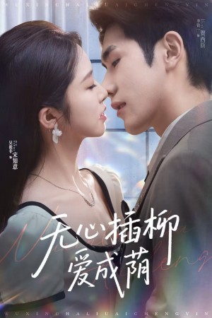 无心插柳爱成荫（80集）