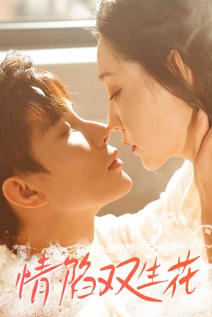 情陷双生花（30集）