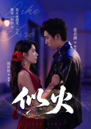 似火(80集)