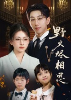野火烬相思(61集)