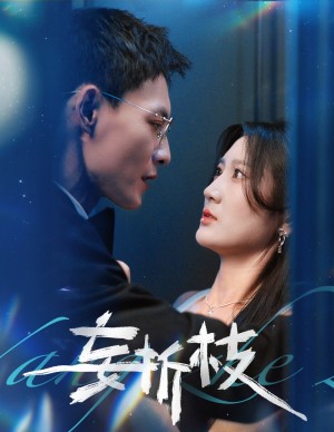 妄折枝（53集）