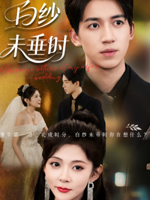 老婆婚礼,我当证婚人&老婆婚礼我当证婚人&白纱未垂时(54集)