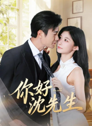 你好沈先生(52集)