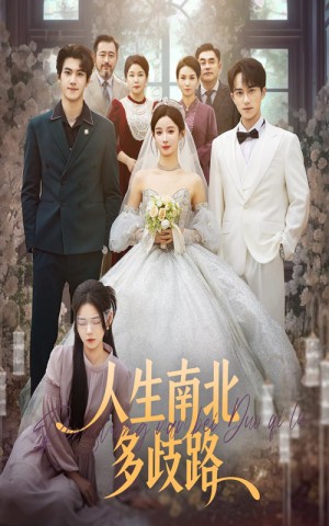 人生南北多歧路（45集）