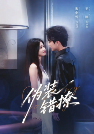 伪装错撩 未删减版（62集）