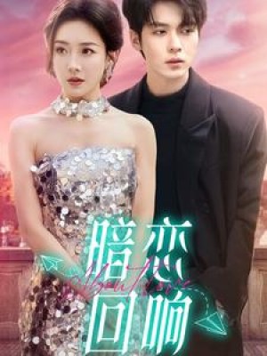 暗恋回响（100集）