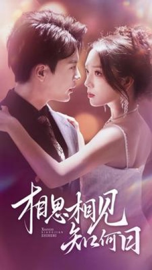 《相思相见知何日》(81集)