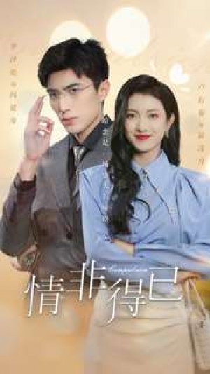 《情非得已》(60集)