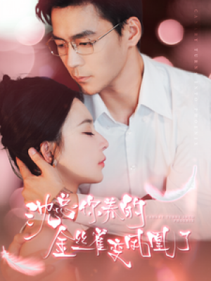 沈总你养的金丝雀变凤凰了（100集）