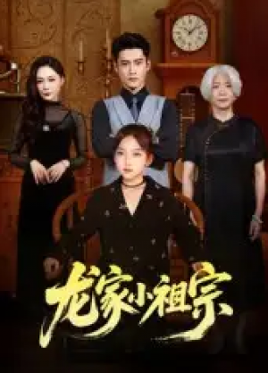 龙家小祖宗(65集)