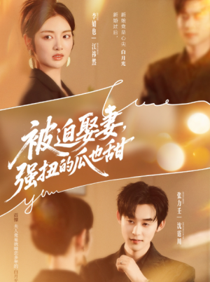 被迫娶妻强扭的瓜也甜&被迫娶妻,强扭的瓜也甜(73集)