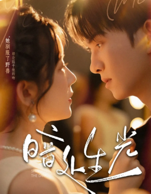 暗处生光（82集）