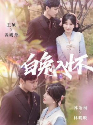 白兔入怀（60集）