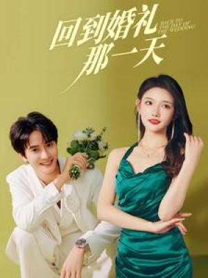 回到婚礼那一天（88集）