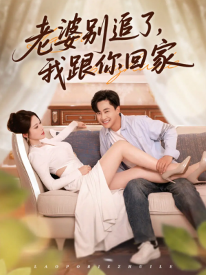 老婆别追了我跟你回家（80集）