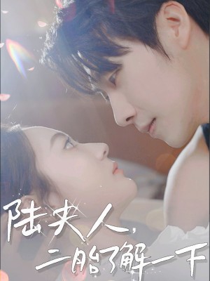 陆夫人二胎了解一下（陆夫人，二胎了解一下）（83集）