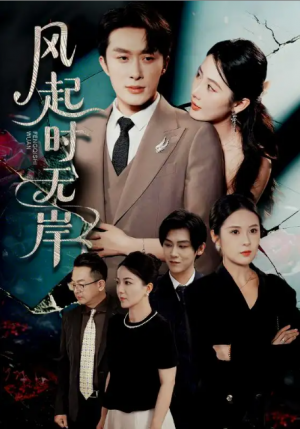 风起时无岸（58集）