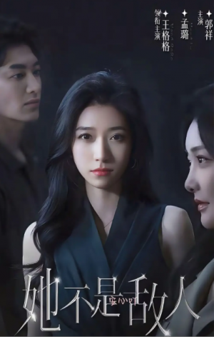 她不是敌人（18集全）