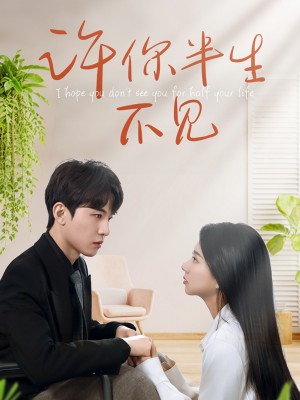 许你半生不见（51集）