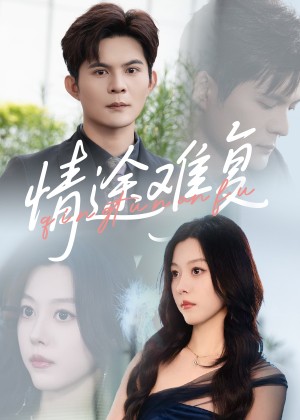 情途难复（50集）