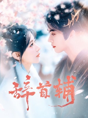 辞首辅（80集）