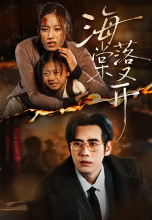 海棠落又开（61集）